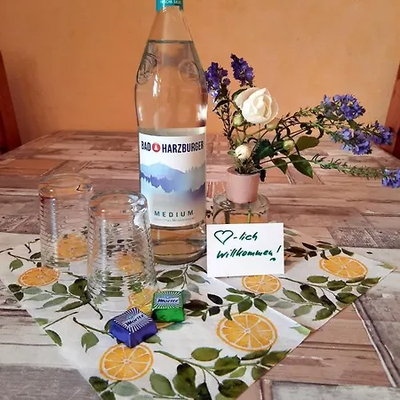 Ferienwohnung Zur Alten Post Lützen Exterior foto